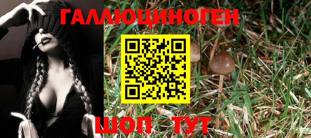 Галлюциногенные грибы Magic Shrooms  Вход с VPN  Псилоцибиновые грибы ЛСД  Тара 